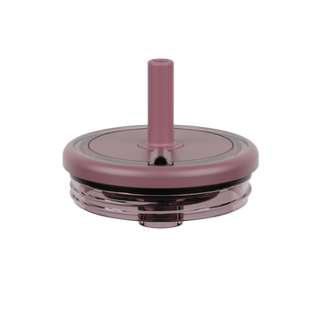 Era Replacement Lid 20oz | Rose Taupe - Quick Daily Use