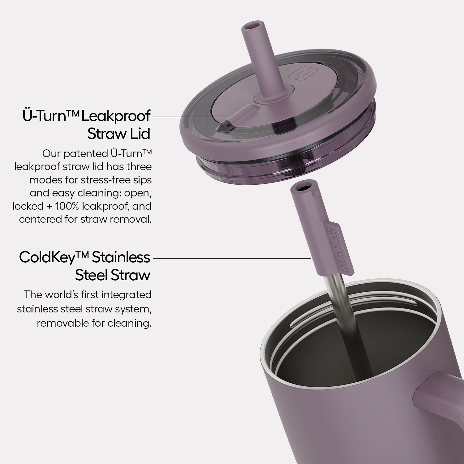 Era 30oz | Blue Agave